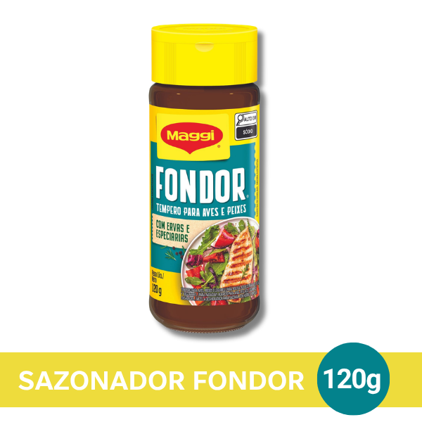 MAGGI FONDOR Seasoning 30x120g N1 BR